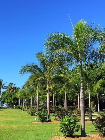 Dunk Island View Caravan Park Wongaling Beach 외부 사진