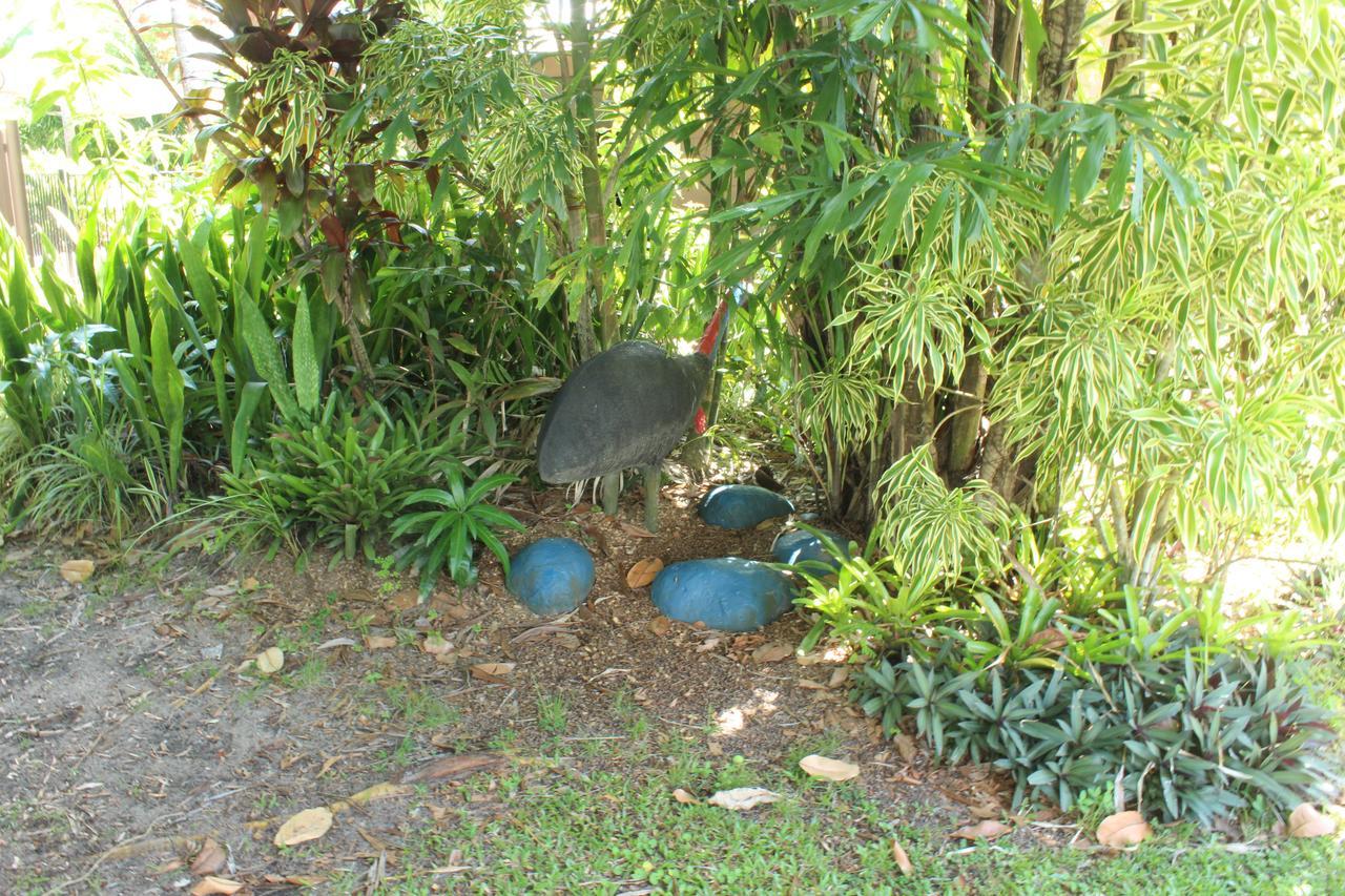Dunk Island View Caravan Park Wongaling Beach 외부 사진
